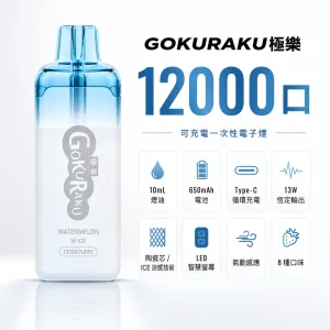 GOKURAKU 極樂｜一次性電子煙 12000口 13W恆定輸出 Type-C充電 智慧螢幕【8種口味】