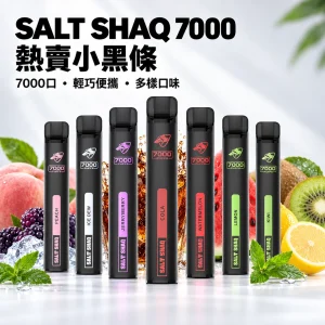 鯊克 SALT SHAQ 小黑條｜拋棄式電子煙 7000口 500mAh 1.0Ω霧化芯｜19種口味